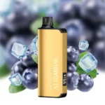 Alibarbar Ingot 20000 Blueberry Breeze Disposable Vape