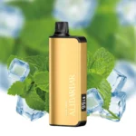 Alibarbar Ingot 20000 Disposable Vape – Cool Mint