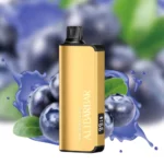 Alibarbar Ingot 9000 Disposable Vape – Blueberry Blast