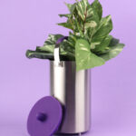 Ardent FX Infusion Vessel