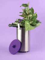 Ardent FX Infusion Vessel