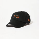 Barbwire - Recycled Six Panel Cap