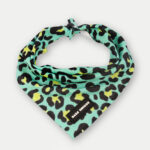 Cosmic Pets Bandana
