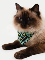 Cosmic Pets Bandana - Image 2