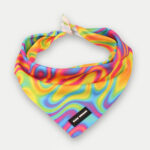 Cosmic Pets Bandana