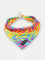 Cosmic Pets Bandana