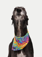 Cosmic Pets Bandana - Image 2