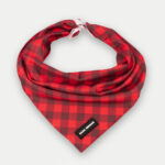 Cosmic Pets Bandana
