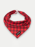Cosmic Pets Bandana