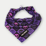 Cosmic Pets Bandana