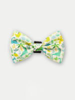 Cosmic Pets Bow