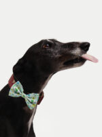 Cosmic Pets Bow - Image 2