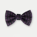 Cosmic Pets Bow