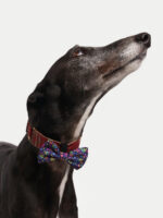 Cosmic Pets Bow - Image 2