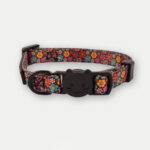 Cosmic Pets Cat Collar