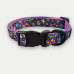 Cosmic Pets Dog Collar