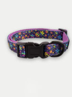 Cosmic Pets Dog Collar