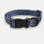 Cosmic Pets Dog Collar