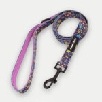 Cosmic Pets Lead