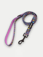 Cosmic Pets Lead