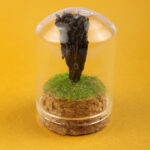 Gemstone & Mineral Glass Dome