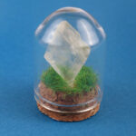 Gemstone & Mineral Glass Dome