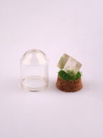 Gemstone & Mineral Glass Dome - Image 2