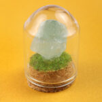 Gemstone & Mineral Glass Dome