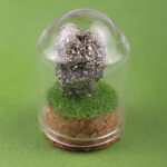 Gemstone & Mineral Glass Dome