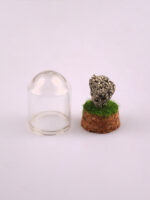 Gemstone & Mineral Glass Dome - Image 2