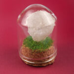 Gemstone & Mineral Glass Dome