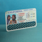 Grinder Card Nonstick