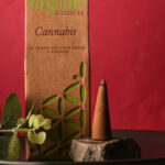 Organic Jumbo Cones - Cannabis