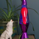 Liquid Lamp Purple / Purple / Pink