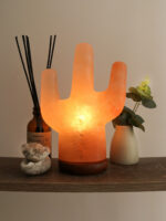 Salt Lamp Cactus Shape