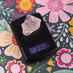 Scales MN- 100 100g x 0.01g