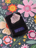 Scales MN- 100 100g x 0.01g