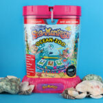 Sea Monkeys Ocean Zoo